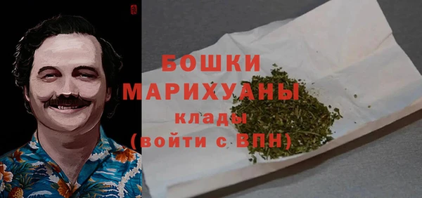 Альфа ПВП Корсаков