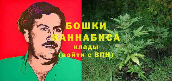 Альфа ПВП Корсаков
